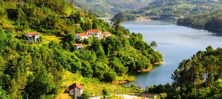 Casa Da Figueira Villa Póvoa de Lanhoso Dış mekan fotoğraf
